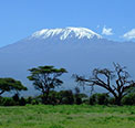 Κιλιμάντζαρο (Kilimanjaro)