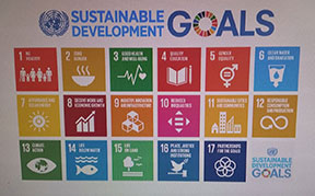 A diagram listing the 17 Sustainable Development goals