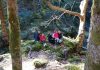 Ελένη Φωτίου, Μαμά κοίτα, Hiking Menalon Trail with kids