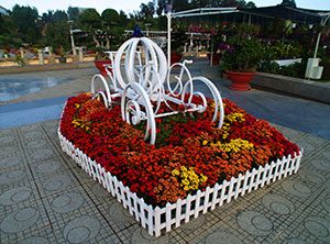 Dalat Flower Garden Park in Dalat Vietnam