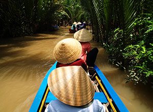 Δέλτα του Μεκόνγκ, Mekong Delta