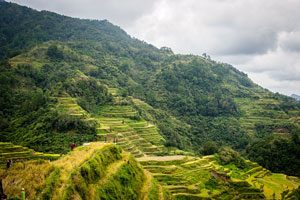 Banaue Rice Terraces, Philippines