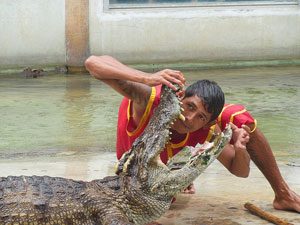 Samutprakan Crocodile Farm and Zoo, Thailand