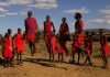 Φυλές ιθαγενών Μασσάι στην Κένυα και Τανζανία, pixabay