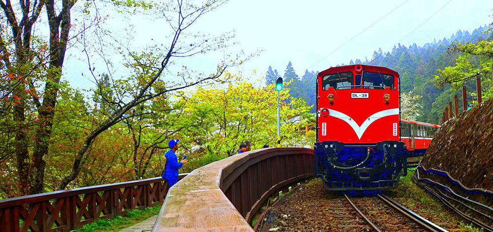 Alishan Forest Railway, Taiwan