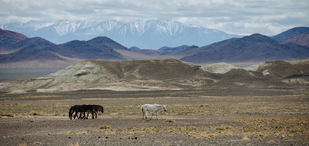 Εθνικό Πάρκο Altai Tavan Bogd στη Δυτική Μογγολία, Κίνα και Ρωσία