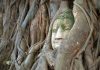 Η κεφαλή του Βούδα μέσα στις ρίζες του δέντρου στην Αγιούταγια της Ταϊλάνδης