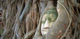 Η κεφαλή του Βούδα μέσα στις ρίζες του δέντρου στην Αγιούταγια της Ταϊλάνδης