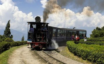 Darjeeling Himalayan Railway, New Jalpaiguri to Darjeeling, India