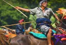 Pasola Φεστιβάλ ιππασίας στην Ινδονησία, pixabay