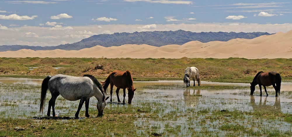 Εθνικό Πάρκο Khustain Nuruu (Hustai), Ποταμός Tuul στη Μογγολία