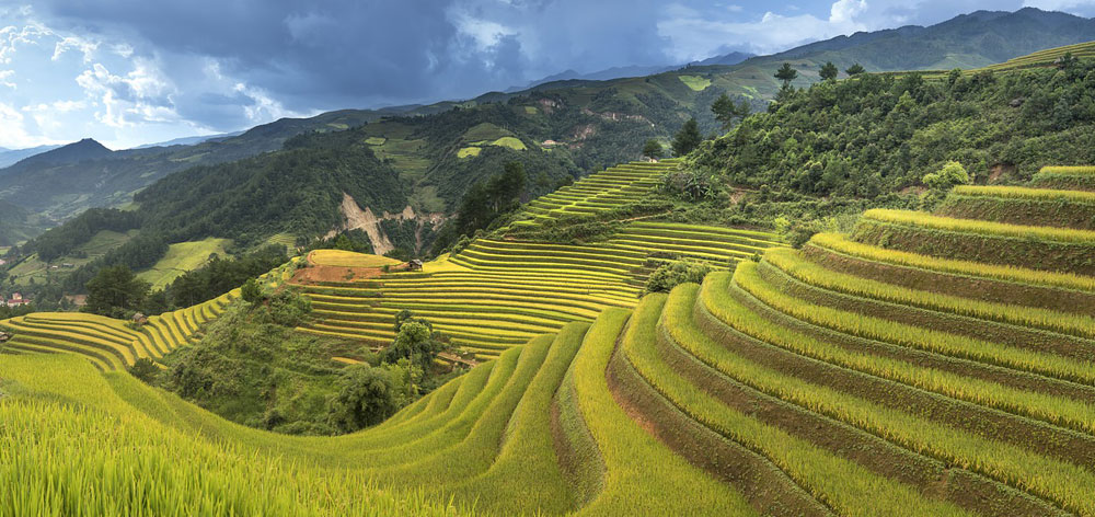 Muong Lo Valley in Northern Vietnam, the second largest in Vietnam