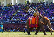 Surin Elephant Festival, pixabay