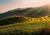 Tu Le Valley Vietnam, terraced rice fields, Khau Pha, Khau Than and Khau Song mountains